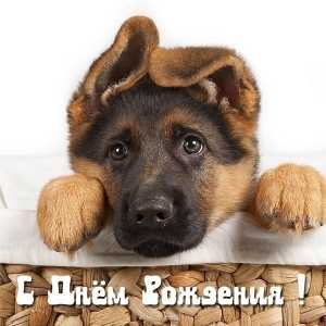 Изображение без подписи